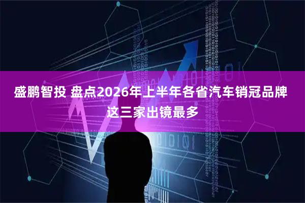 盛鹏智投 盘点2026年上半年各省汽车销冠品牌 这三家出镜最多